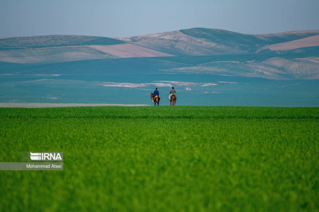 Turkmen_Sahra_1